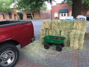 Straw bales and red bud tree seedlings arrive early - EDA 2017